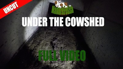 Under the cowshed - Full Video - Uncut