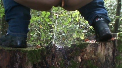 pee and poop from a tree trunk