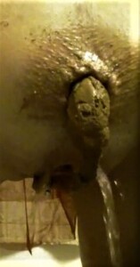 Andreea and friend anal fucking and kaviar