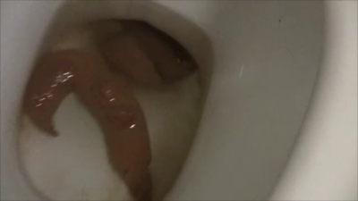 No Toilet Slave
