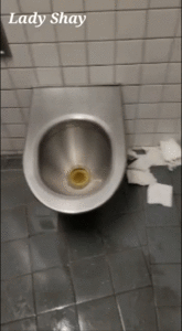 Filthy Public Restroom Discovery