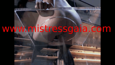 Thumbnail of MISTRESS GAIA POV TOILET GAMES