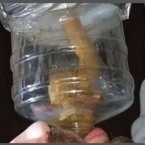 (30 minutes) Normal dump swallowing Vs. Liquid shit chugging