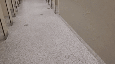 Hawaii Airport Ladies' Room