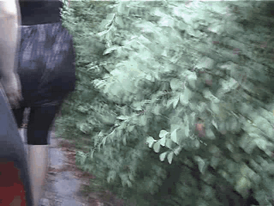Woman Caught Relieving Herself in Public View