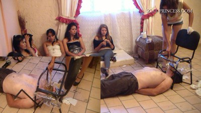 The new irristible Toilet Chair Part 4