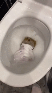The Ultimate Toilet Flush Compilation 2024