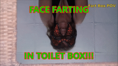 The Fart Chamber Experience