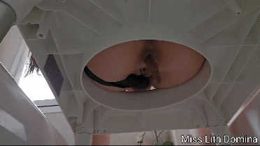 Porcelain Throne: A Double Serving of Domination