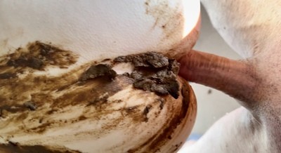 Couldnt get into the toilet/anal scat