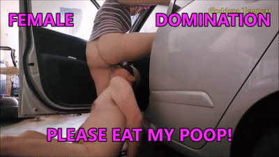 The Ultimate Car Feast