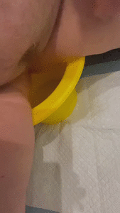 Testing the Chamber Pot