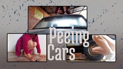 Thumbnail of Peeing cars