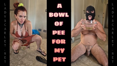 Thumbnail of LADY SCARLET - A BOWL OF PEE FOR MY PET hd