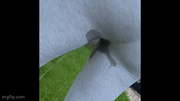 Thumbnail of Wetting my leggings