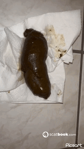 MY TURD IS BIGGER THAN YOUR DICK