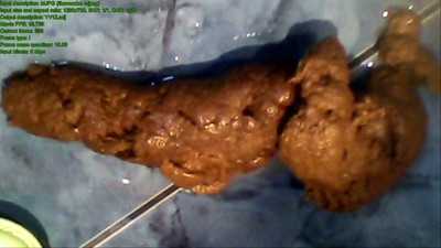 LongShit4Dinner