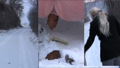 Snowstorm Shitting