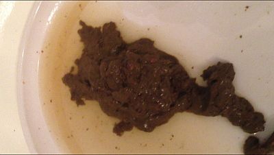 A True Mountain of Shit