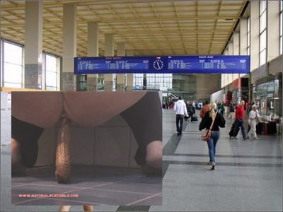 Shitting on Western Station