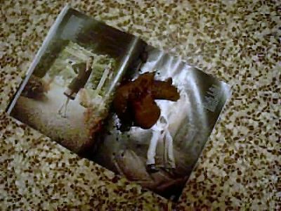 Shitting on A Shitty Gossip Magazine