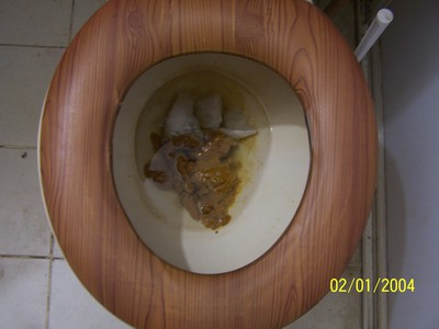 Mexican girl shitting compilation