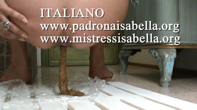204.2 SUMMER POO
