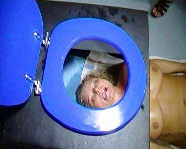 Extreme and Perverted toilet seat excesses!
