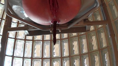 Good Morning Pee & Shit