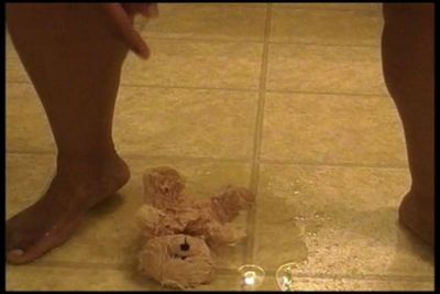 ************ Teddy Scene 1