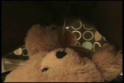 ************ Teddy Scene 2