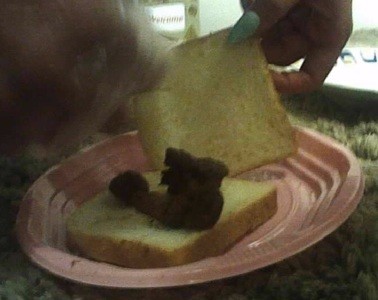 CHIARA - second attempt -breakfast scat
