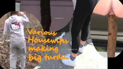 Various housewifes shitting