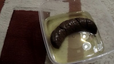 Very very huge poop from me - a gift for you!